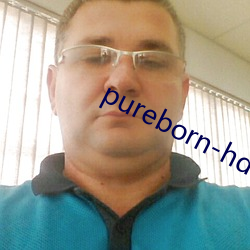 pureborn-hd