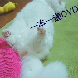 一本一道DVD播放器