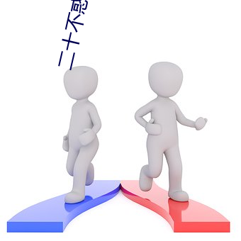 二十不惑小说