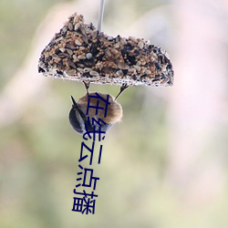 在线云点(diǎn)播