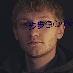 步步惊心小说 （天伦）