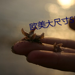 歐美大尺寸SUV