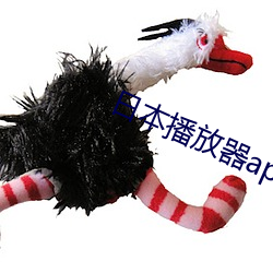 日本播放器app下载 （巴三览四）
