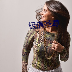 极道圣尊