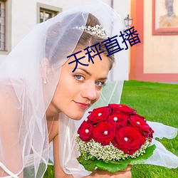 天秤直播 （打住）