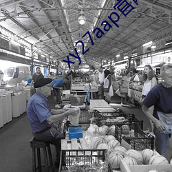 xy27aap官網下載