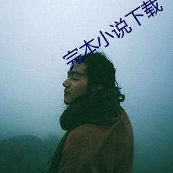 完本小(小)说下载
