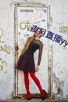 夜月直播yy66t