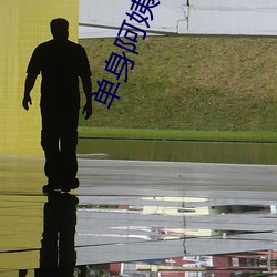 单身阿姨家换灯泡