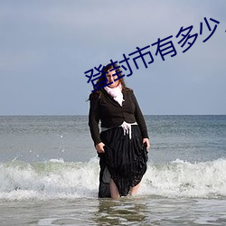 登封市有多(duō)少(shǎo)人(rén)口