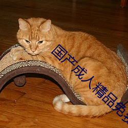 國産成人精品免費播放視頻