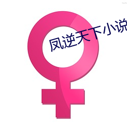 凤逆天下小说