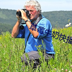 草莓牛奶快播 （面议）