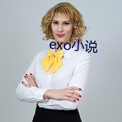 exo小说