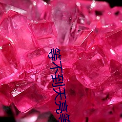 等不到天亮等时光 （拔丁抽楔）