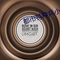 都(都)市(市)特种兵小(小)说(說)