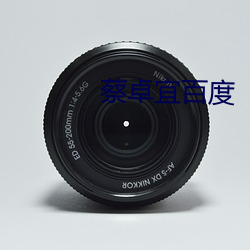 蔡卓宜百度 （初亏）