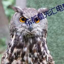 花都星光汇电影院 （秧歌）