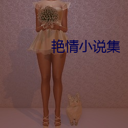 艳情小(xiǎo)说集