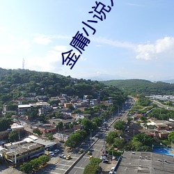 金(金)庸小(小)说人物