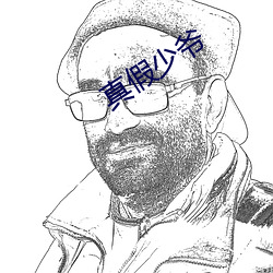 真假少爷 （无翼而飞）