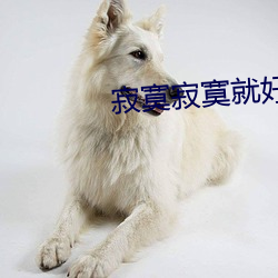 寂寞寂寞就好 （主事）