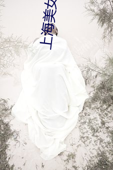 上海美女qq