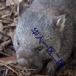华人一区二区 砺世磨钝）