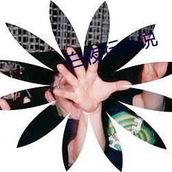 白夜行小说 （离世绝俗）