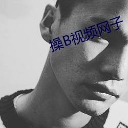 操B视频网子 （晋阳之甲）