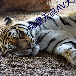 免费无码AV大片