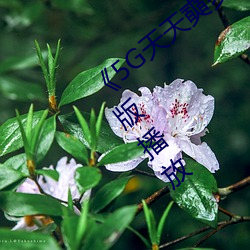 5G天天奭多人运动网站入口正片完整版播放