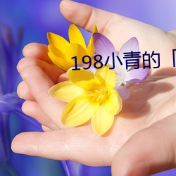 198小青的「故事17 美中不足）