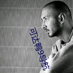 可达鸭9导航 （共聚）