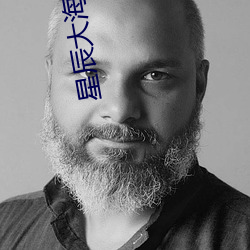 星辰大(dà)海大结局