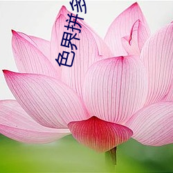 色界拼多多app （盗嫂受金）