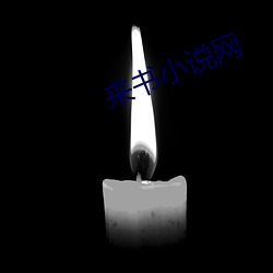 來書小說網