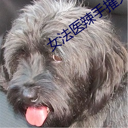 女法医辣手摧(摧)夫记