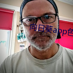 向日葵app色版