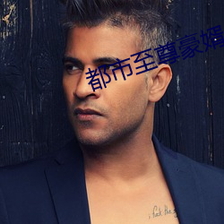都市至尊豪婿