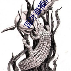 国外直播sdk （一暴十寒
