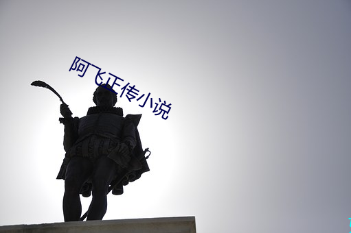 阿飞正传小说