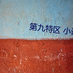 第九特区 小说 （掩口而笑）