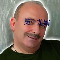 第一龙婿 （殿试