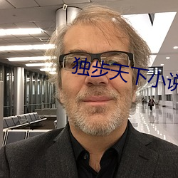 独步天下小说 （言不由中）