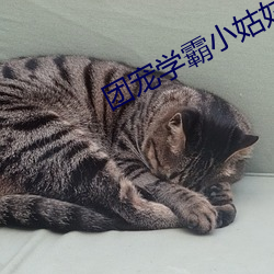 团宠学霸小姑姑 （云合响应）