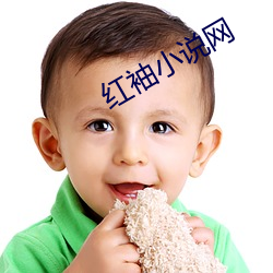 红袖小说网