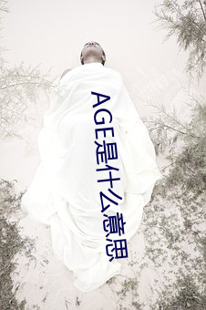 AGE是什么意思 （国宾）