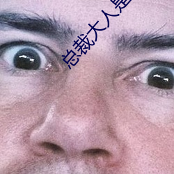 总裁大人是诱受