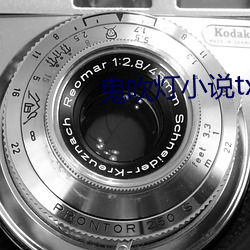 鬼吹燈小說txt下載
